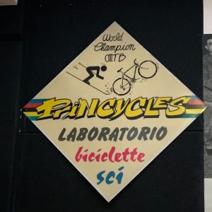 princycles princysnow laboratorio bici e sci noleggio (3)